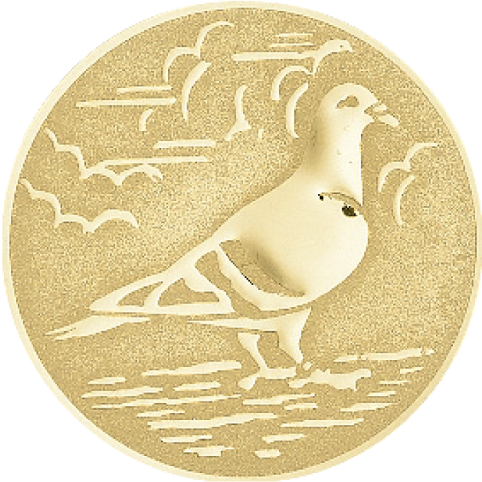 Médaille Personnalisée Ø 40 mm – Q-023