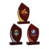 Trophée Bois  151-11- Personnalisé Logo de sport couleur
