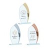 Trophée Verre Économique 162-21 - Logo personnalisé
