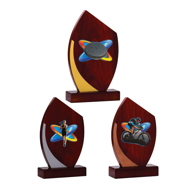 Trophée Personnalisé - Grand choix de disciplines - H : 21cm – Réf : 125-41
