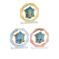 Trophée Personnalisé - Grand choix de disciplines - H : 17cm – Réf : 132-01