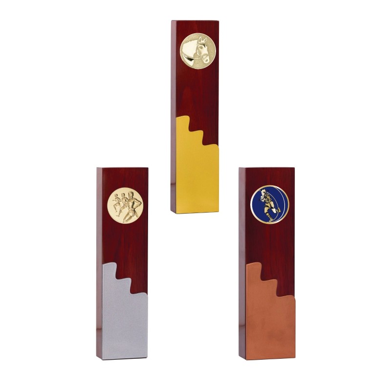 Trophée Personnalisé - Grand choix de disciplines - H : 24cm – Réf : 138-11