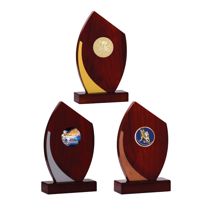 Trophée Personnalisé - Grand choix de disciplines - H : 21cm – Réf : 138-01