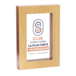 Trophée bois personnalisé – création sur mesure | 150-11-LO-SU