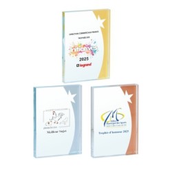 Trophée verre personnalisé – création sur mesure | 154-11-LO-SU