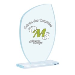 Trophée verre personnalisé – création sur mesure | 154-21-LO-SU