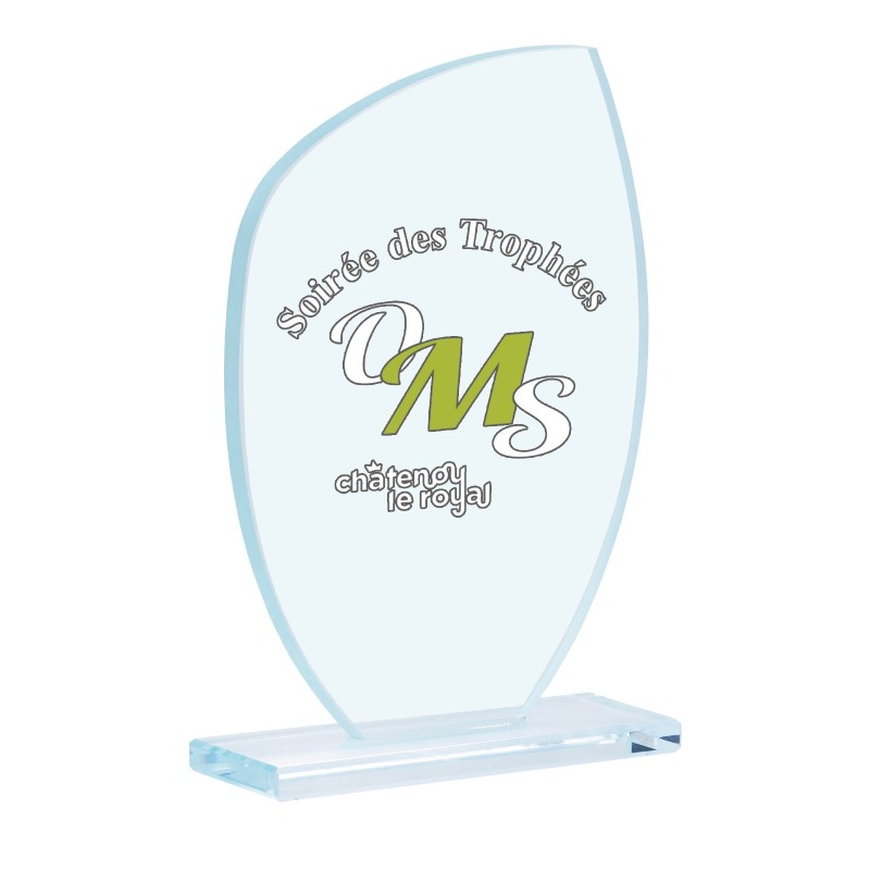 Trophée verre personnalisé – création sur mesure | 154-21-LO-SU