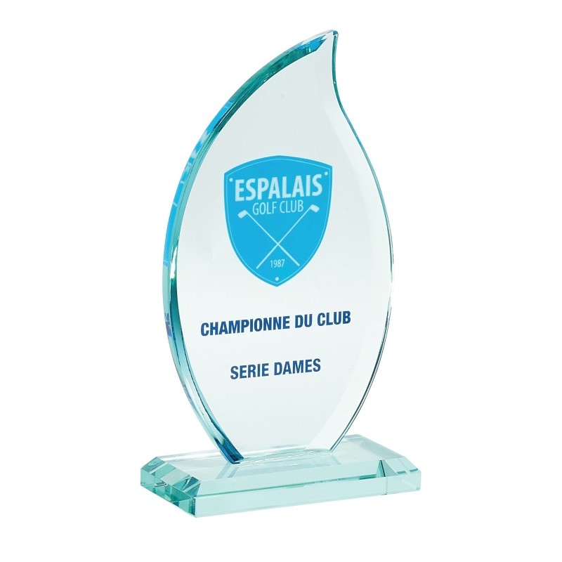 Trophée verre personnalisé – création sur mesure | 154-71-LO-SU
