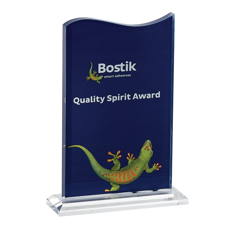 Trophée plexiglas personnalisé – création sur mesure | 157-41-LO-