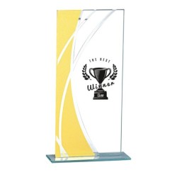 Trophée verre personnalisé – création sur mesure | 160-11-LO-CLI