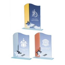 Trophée verre personnalisé – création sur mesure | 161-51-LO-CLI