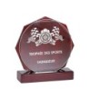 Trophée verre personnalisé – création sur mesure | 163-71-LO-CLI
