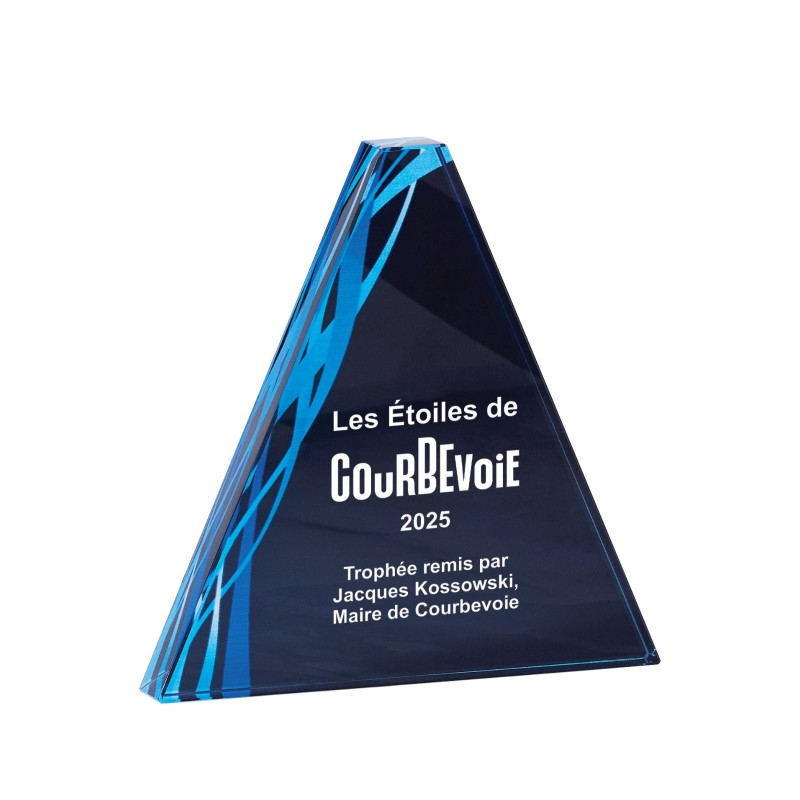 Trophée verre personnalisé – création sur mesure | 165-41-LO-CLI
