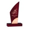 Trophée bois personnalisé – création sur mesure | 165-01-LO-CLI