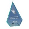 Trophée verre personnalisé – création sur mesure | 168-21-LO-CLI