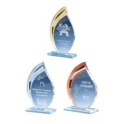 Trophée verre personnalisé – création sur mesure | 170-01-LO-CLI