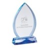 Trophée verre personnalisé – création sur mesure | 173-31-LO-CLI
