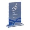 Trophée plexiglas personnalisé – création sur mesure | 175-11-LO-CLI