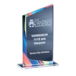 Trophée plexiglas personnalisé – création sur mesure | 176-01-LO-CLI