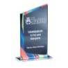 Trophée plexiglas personnalisé – création sur mesure | 176-01-LO-CLI