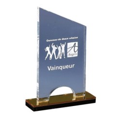 Trophée plexiglas personnalisé – création sur mesure | 176-21-LO-CLI