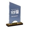 Trophée plexiglas personnalisé – création sur mesure | 176-21-LO-CLI
