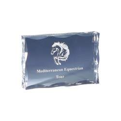 Trophée plexiglas personnalisé – création sur mesure | 177-01-LO-CLI