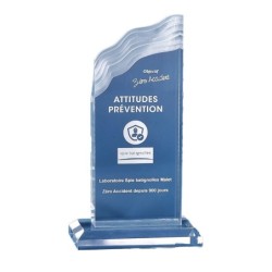 Trophée plexiglas personnalisé – création sur mesure | 177-51-LO-CLI
