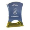 Trophée plexiglas personnalisé – création sur mesure | 178-11-LO-CLI