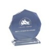 Trophée plexiglas personnalisé – création sur mesure | 179-01-LO-CLI