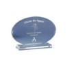 Trophée plexiglas personnalisé – création sur mesure | 180-01-LO-CLI