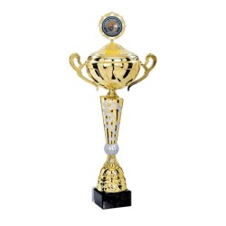 Coupe personnalisée à votre Logo pour Mairies & Entreprises – Réf. 4181-LO