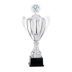 Coupe avec logo personnalisé en couleur + BAT – Mairies & Entreprises – Réf. 5821W-LO
