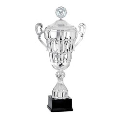 Coupe avec logo personnalisé en couleur + BAT – Mairies & Entreprises – Réf. 6701W-LO
