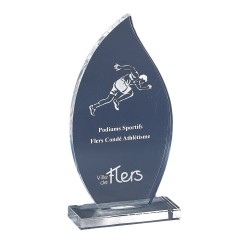 Trophée plexiglas personnalisé – création sur mesure | 174-11-LO-CLI