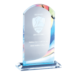 Trophée plexiglas personnalisé – création sur mesure | 176-01-LO-CLI