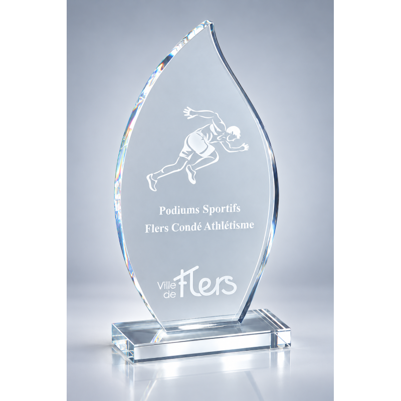 Trophée plexiglas personnalisé – création sur mesure | 174-11-LO-CLI