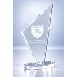 Trophée plexiglas personnalisé – création sur mesure | 174-61-LO-CLI