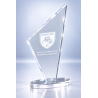 Trophée plexiglas personnalisé – création sur mesure | 174-61-LO-CLI