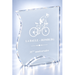 Trophée plexiglas personnalisé – création sur mesure | 175-01-LO-CLI