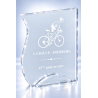 Trophée plexiglas personnalisé – création sur mesure | 175-01-LO-CLI