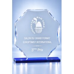 Trophée plexiglas personnalisé – création sur mesure | 175-21-LO-CLI