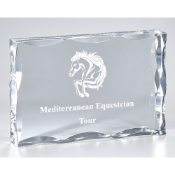 Trophée plexiglas personnalisé – création sur mesure | 177-01-LO-CLI