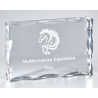 Trophée plexiglas personnalisé – création sur mesure | 177-01-LO-CLI