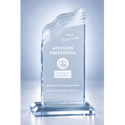 Trophée plexiglas personnalisé – création sur mesure | 177-51-LO-CLI