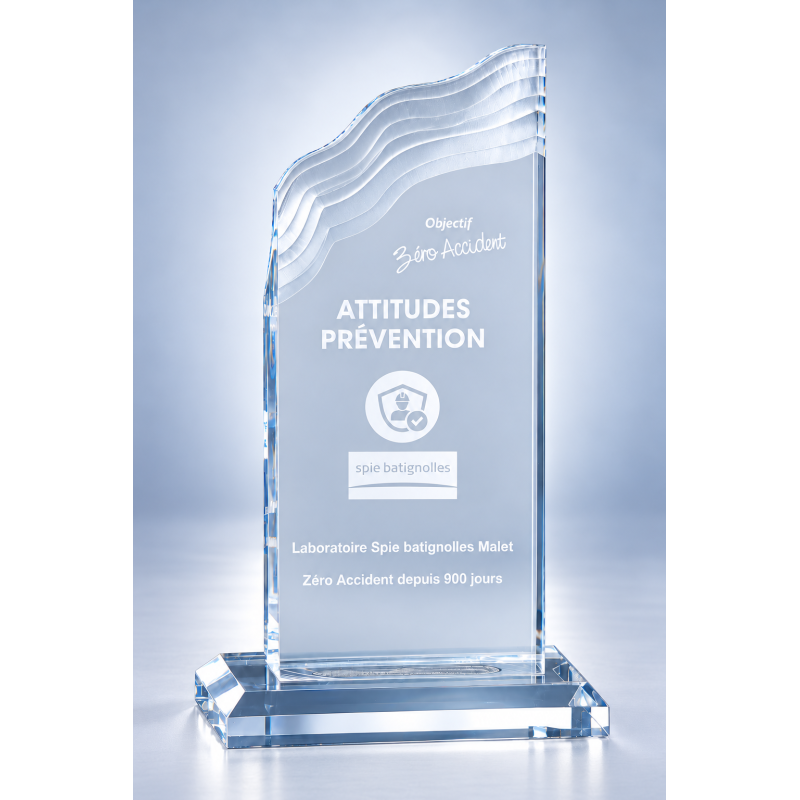 Trophée plexiglas personnalisé – création sur mesure | 177-51-LO-CLI
