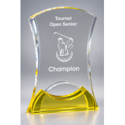 Trophée plexiglas personnalisé – création sur mesure | 178-11-LO-CLI