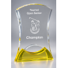 Trophée plexiglas personnalisé – création sur mesure | 178-11-LO-CLI