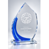 Trophée plexiglas personnalisé – création sur mesure | 179-41-LO-CLI
