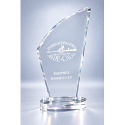 Trophée plexiglas personnalisé – création sur mesure | 180-51-LO-CLI